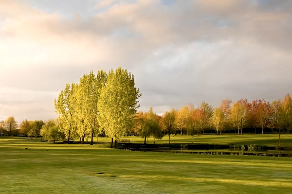 Golf für Singles und Alleinreisende im Allgäu